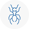 Ant Removals In Warwickshire