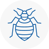 Bed Bug Extermination In Warwickshire