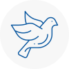 Bird Prevention Warwickshire