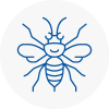 Warwickshire Hornet Nest Removals