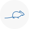 Mice Exterminators In Warwickshire